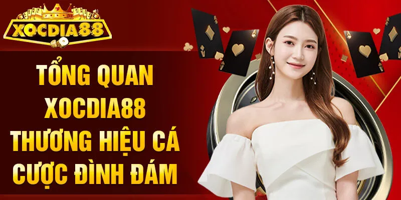 Tổng quan Xocdia88 thương hiệu cá cược đình đám